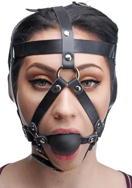 Male Sex Toys Master Series Ball Gag Head Harness Black Bulk