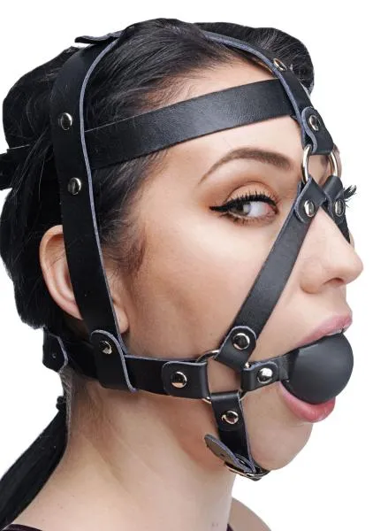 Male Sex Toys Master Series Ball Gag Head Harness Black Bulk
