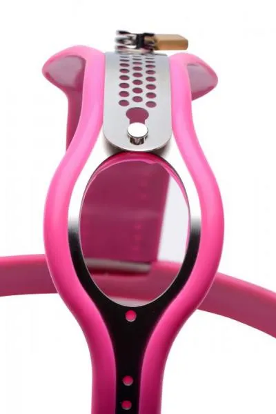 Male Sex Toys Master Series Pink Stainless Steel Adjustable Female Chastity Belt Male Sex Toys Master Series Pink Stainless Steel Adjustable Female Chastity Belt