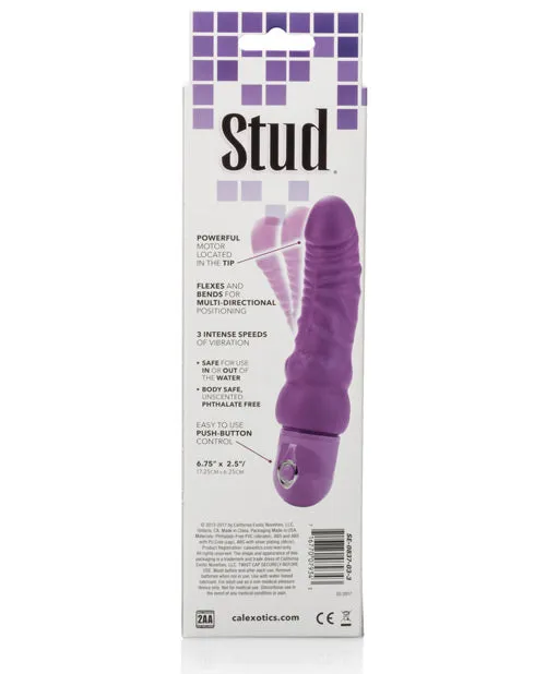 All Novelties Vibrators BENDIE POWER STUD CURVY PURPLE All Novelties Vibrators BENDIE POWER STUD CURVY PURPLE