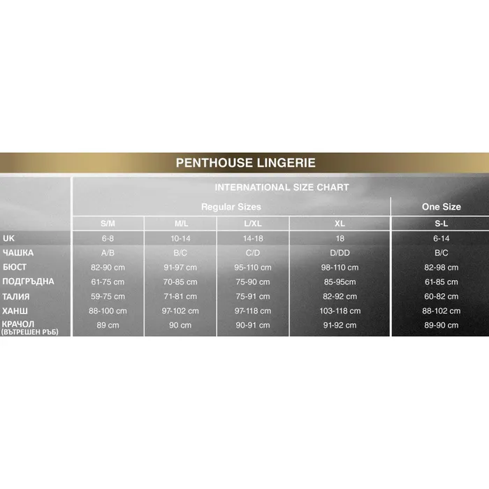 Male Sex Toys Penthouse High Profile Off Shoulder One Piece Mesh Bodysuit Penthouse